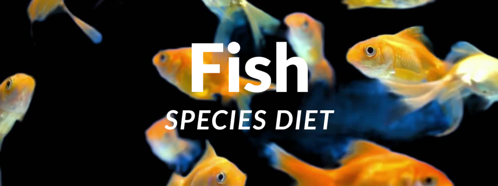 Fish species diet