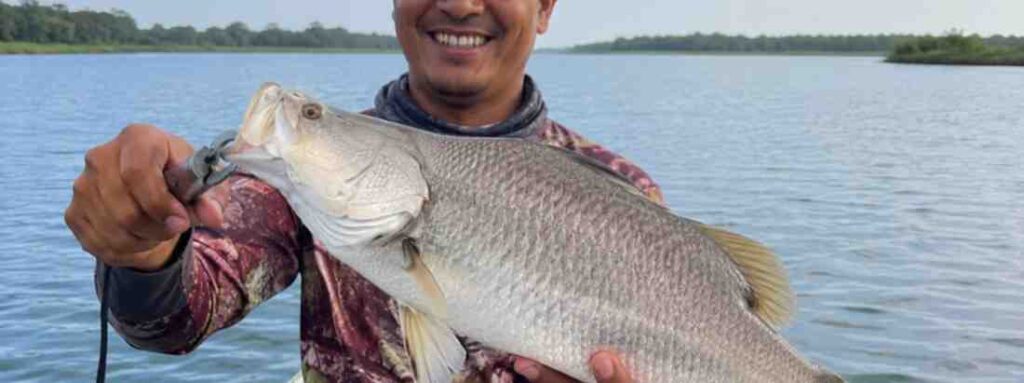 How to catch fish