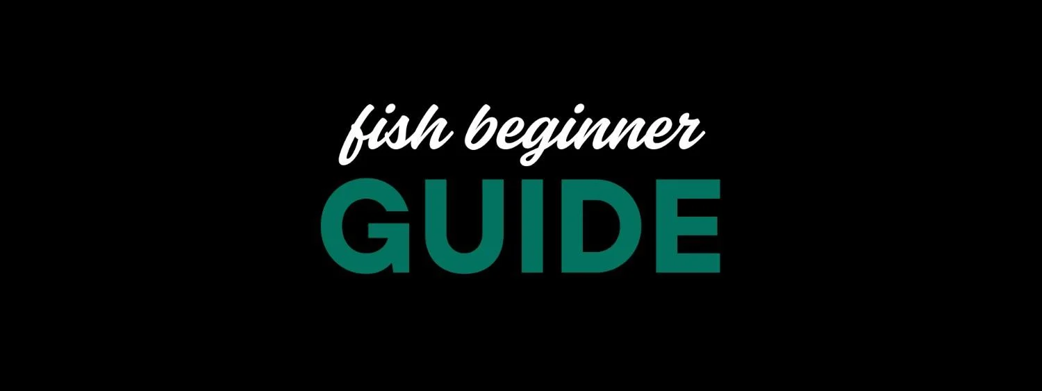 beginner guide for fish farming