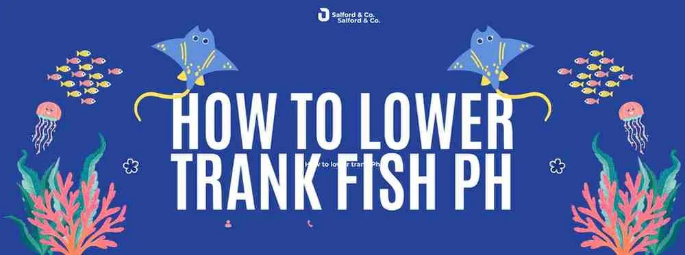 1.How to lower tank Ph