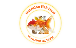 nhfnf