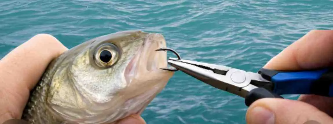 How to take fish off hook