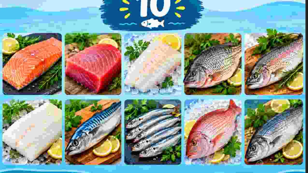 top 10 best fish